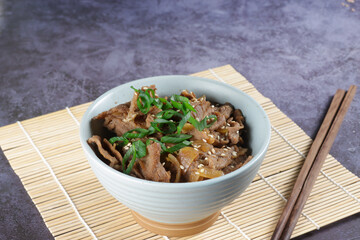 Gyudon is Japanese Beef Rice Bowl or Yakinikudon.