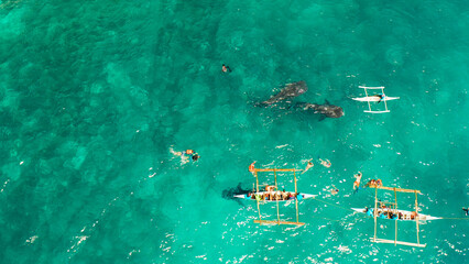 Place to snorkel and scuba drive and whale shark watching, top view, Oslob, Philippines. clean blue...