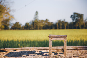 Wooden chair in rice field,selective focus.