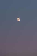 The bright moon in the dark sky