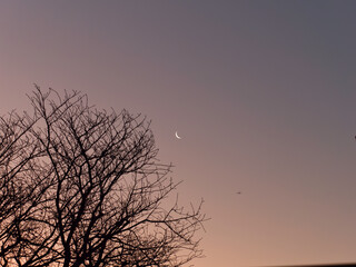 Obraz premium 夜と朝の境目