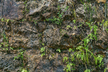 Natural rock stone texture with cracks