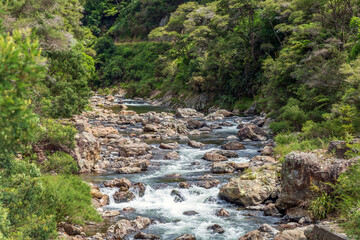 View of Waitawheta River in Karangahake Gorge, New Zealand