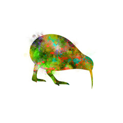 Watercolor Kiwi Bird drawing, silhouette of a Kiwi Bird, Watercolor Kiwi Bird art, Kiwi Bird, Png, Transparent, Apteryx, ratites