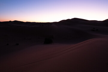 Dawn in the Sahara desert. Empty dunes landscape