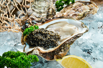 Oysters with black caviar, lemon and parsley, on ice. On a stone background. Top view. Macro photo.