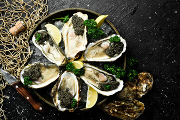A plate of Fresh oysters with black sturgeon caviar lemon and ice. Restaurant delicacy. oysters dish. Free copy space.