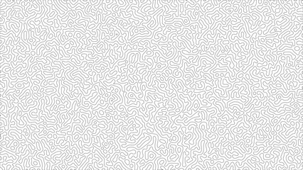 Random Turing pattern background with black and white color