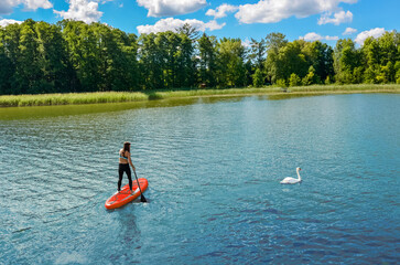 Girl paddling on SUP board near white swan bird on beautiful lake, standing up paddle boarding adventure with wildlife in Germany lake district Mecklenburg
