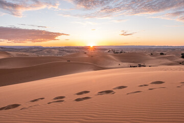The vast orange dunes of the Sahara desert and its barren vegetation