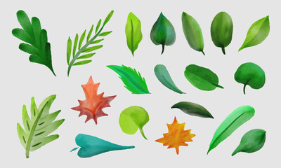 Set of green Tropical watercolor leaves vector illustration