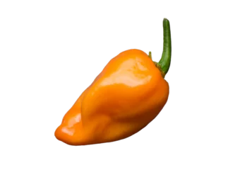 Poster Im Rahmen orange chili pepper habanero on isolated background © puckillustrations