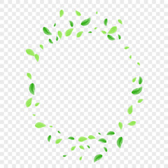 Greenish Vegetation Background Transparent Vector. Plant Label Card. Falling Design. Green Air Frame. Leaves Agriculture.