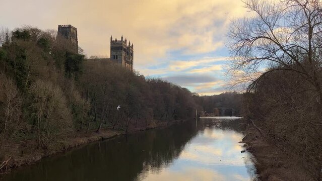 Seagull flying over the River Wear and the Cathedral of Durham (UK)
