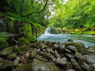 夏の菊池渓谷