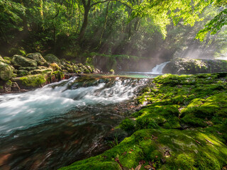 Obraz premium 夏の菊池渓谷