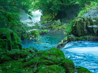 夏の菊池渓谷