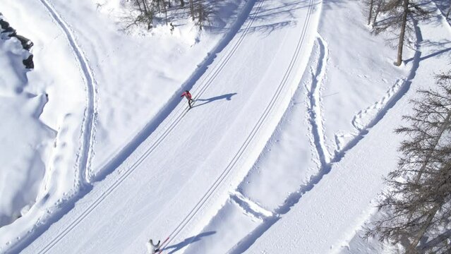 Ski de fond