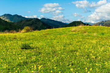 Panoramic view of idyllic mountain scenery in the Alps with fresh green meadows blooming on a beautiful sunny spring day