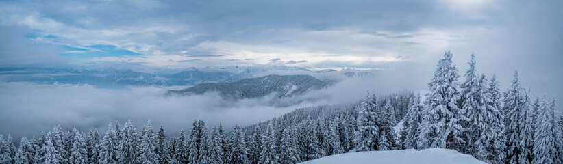 Allgäuer Winterlandschaft an einem bedeckten Tag