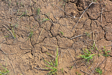 Dry mud cracked ground texture. Drought season background. Dry and cracked land, dry due to lack of rain. Effects of climate change.