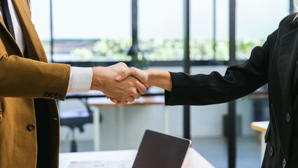 Business people shaking hands. Businessman shaking hands during a meeting in the office	