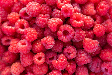 Wild raspberries heap - raspberry detail