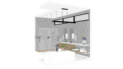 3D Concept perspective MASTER BATHROOM, rendered elevation view, Vector, Colorful illustration
