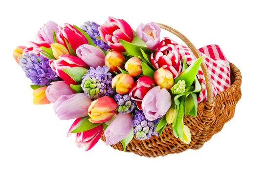 Decoration with various springtime flowers and basket isolated on transparent background PNG cut out