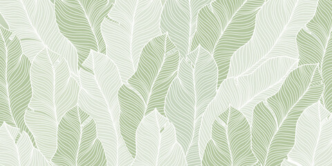 Vector abstract illustration in pale green tones with palm leaves for wallpapers, backgrounds, covers, designs