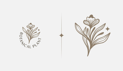 Abstract Plant Botanical Flower Line Art Line Drawing. Universal creative premium symbol. Vector illustration. Creative Minimal design template