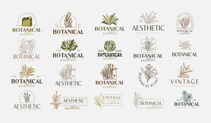 Set of Abstract Plant Botanical Flower Line Art Line Drawing. Universal creative premium symbol. Vector illustration. Creative Minimal design template