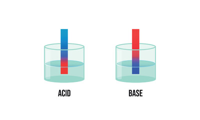 Litmus paper test. Acid and alkali in solution. Vector illustration isolated on a white background