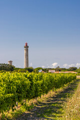 Fototapeta na wymiar lighthouse of Baleines on Re Island, Charente-Maritime, France