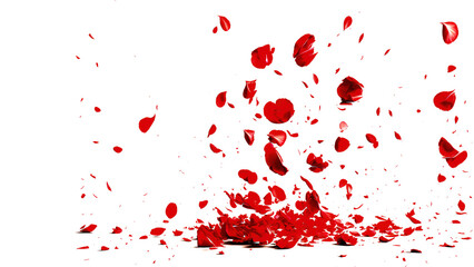 Red roses petals falling on isolated white background. Valentines love marriage concept. Wedding invitation card overlay elements.  Confetti petals. Copy space. Generative ai