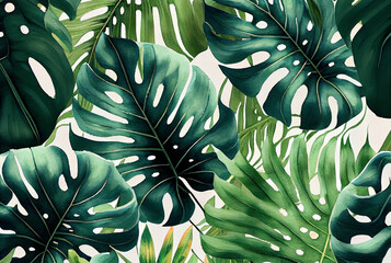 Watercolor wallpaper illustration of lush green monstera leaves on white background as generative AI art - 565575273