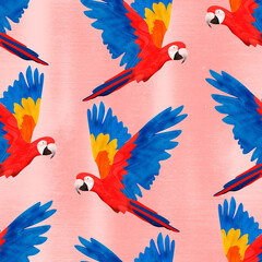 Scarlet macaws with pink background