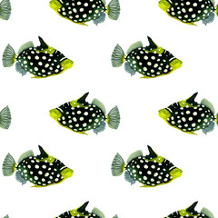 Seamless pattern of a marine, tropical theme. Black fishes. Watercolor hand drawn illustration. For decoration and design.	