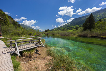 Fototapeta na wymiar Spring landscape in Zelenci, Slovenia