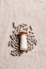 mushroom and natural herbal pills on textile gray background. environmental friendly , healthy lifestyle, medical supplement concept. copy space.