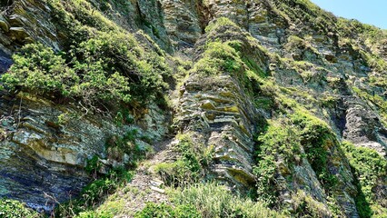 長崎県壱岐島の壱岐の土台石の断層