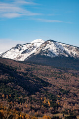 Pyreneans mountains and forest during winter, vertical mountain landscape