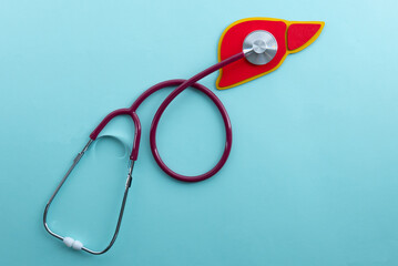 Fototapeta na wymiar Red liver and stethoscope lies on a blue background