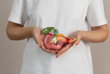 woman holding pancreas in the hands. Help and care concept - obrazy, fototapety, plakaty