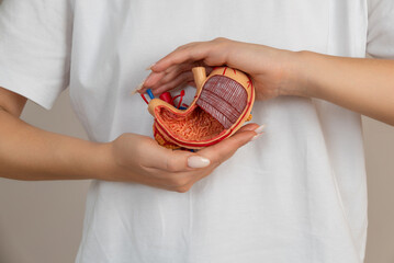 woman is holding mock stomach in the hands. Help and care concept