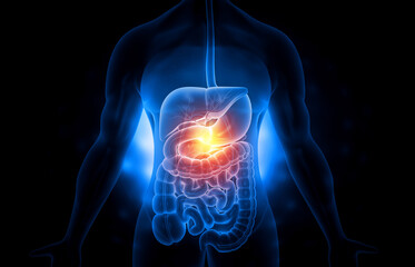 Human digestive system gastric problem. 3d illustration.