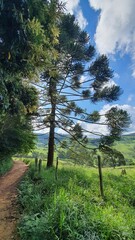 Fototapeta premium Caminhos de Minas