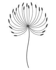 Dandelion flower. Nature floral hand drawn stylized decorative blooming silhouette of fluffy seeds flower. Ssketched monochrome design element in black linear style