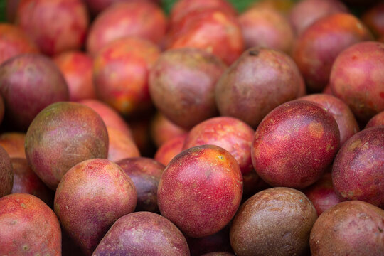 Passionfruit fruits close-up as a background. Bunch of tropical fruits harvesting.