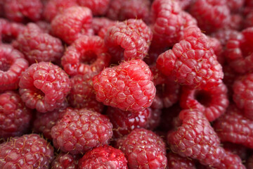 quality tasty raspberry berries. new harvest, background, food texture. the concept of healthy and vitamin nutrition. selective focus.